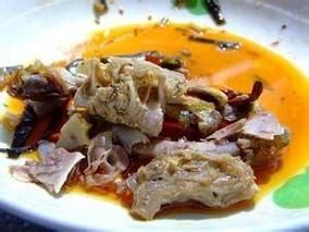 巴哥犬的喂养(哪些食物不能喂给它)