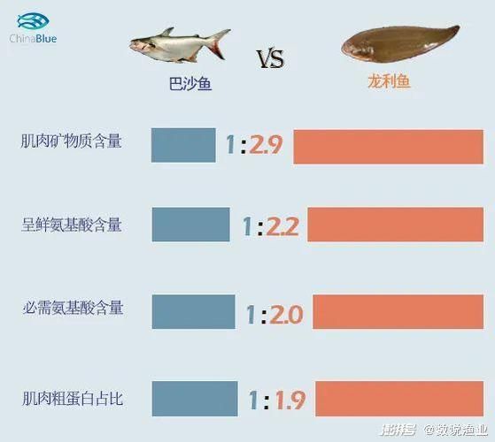 巴沙鱼和龙利鱼的区别(到底哪个才是真正的海鱼)