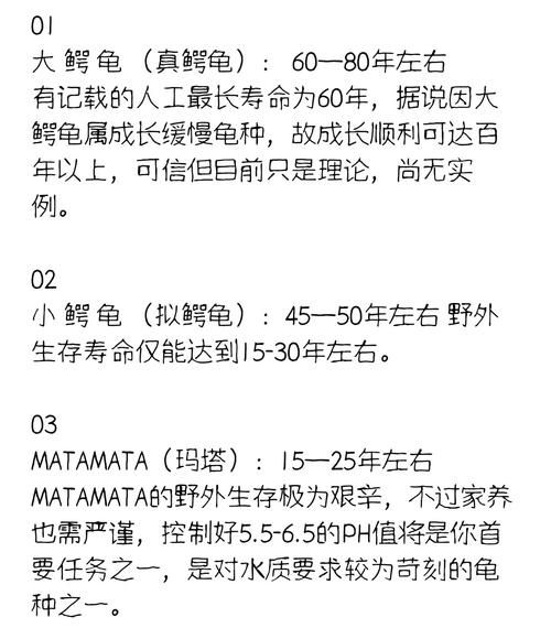 巴西龟寿命(怎么养才能让它活久一点)