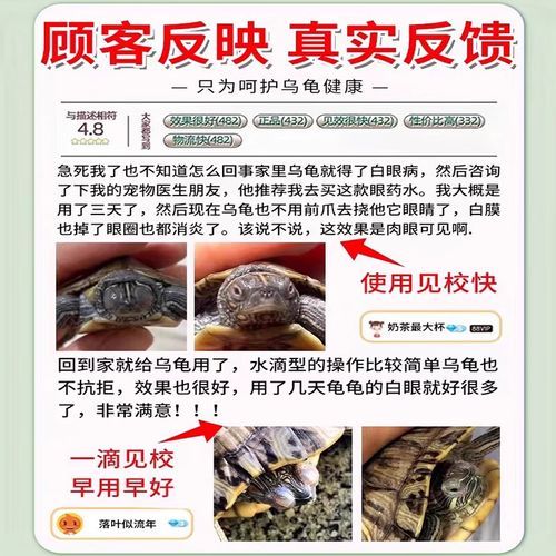巴西龟白眼病(用人用的眼药水可以吗)
