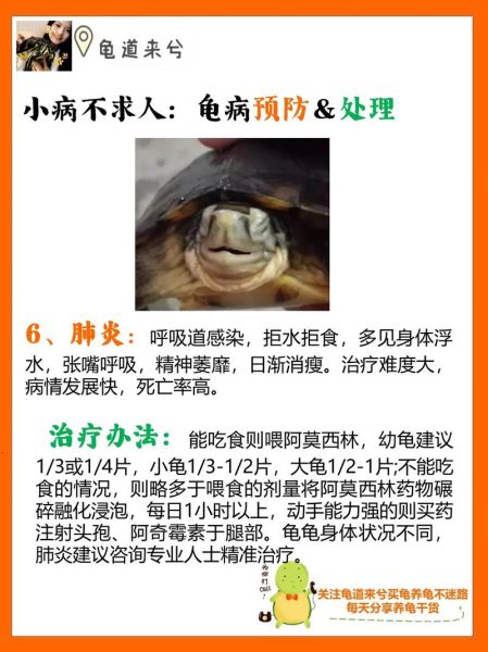 巴西龟白眼病治疗(有什么偏方吗)