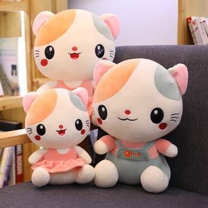 布娃娃猫( 它们需要什么照顾)