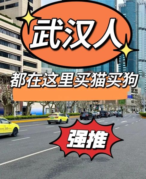 广宠网(广宠网是个好去处吧)