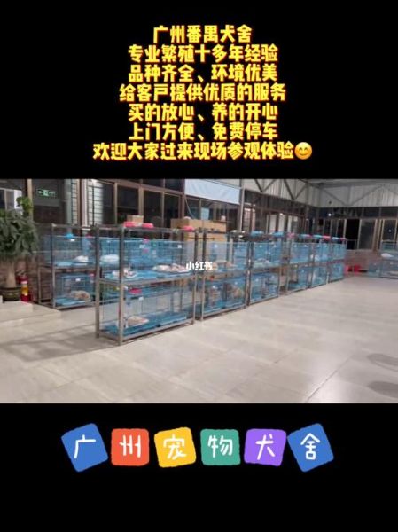广州 宠物(市场有多火爆)