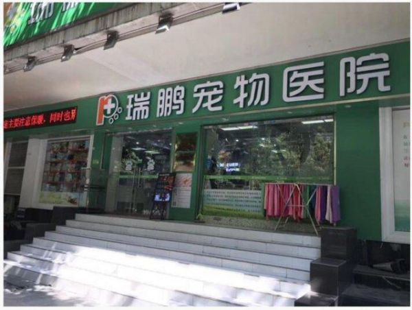 广州宠物医院(广州宠物医院还能信任吗)