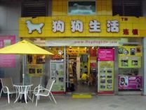 广州宠物店(怎样才能找到适合自己的)