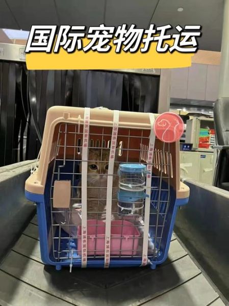 广州宠物用品店(心心宠物用品店值得信赖吗)