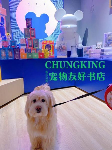 广州宠物网站(广州宠物网站推荐)