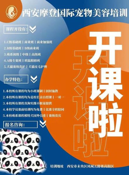 广州宠物美容培训(去哪学技术最实用)
