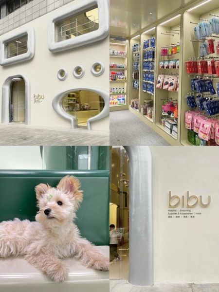 广州宠物美容店( 怎样才能找到适合自家爱宠的店)