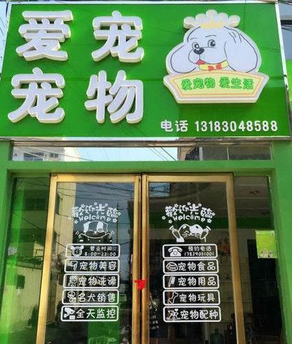 广州宠物美容店( 怎样才能找到适合自家爱宠的店)