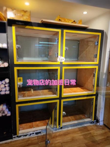 开个宠物店要多少钱(投资差距有多大)