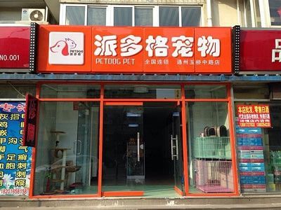 开个宠物店要多少钱(投资差距有多大)