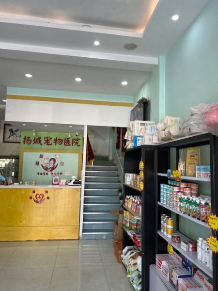 开宠物医院需要什么( 你准备好了吗)