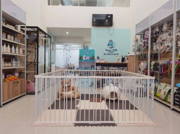 开宠物店(该怎么选择才能赚大钱)