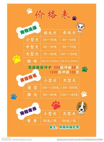 开家宠物店要多少钱(各种费用加起来要花多少钱)