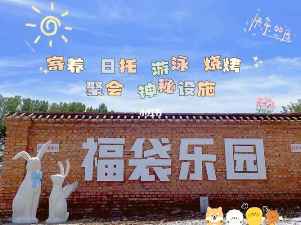 开心宠物乐园(宠物乐园攻略大揭秘)