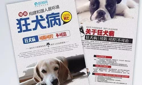 异烟肼杀狗原理(会直接挂掉吗)