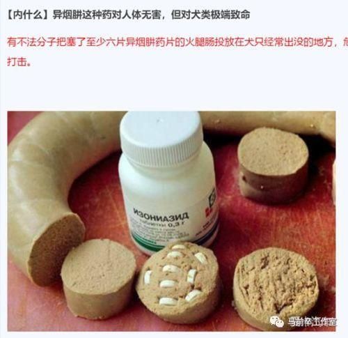 异烟肼片毒狗原理( 到底是如何造成致命伤害的)