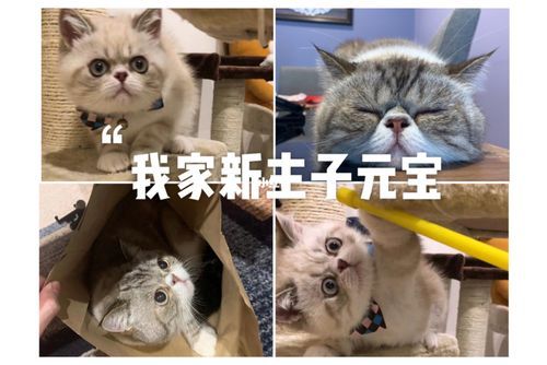 异短(它们俩有什么关系)