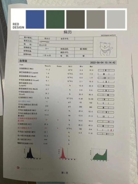 待宰活猫查出猫瘟( 猫瘟是怎么被发现的)