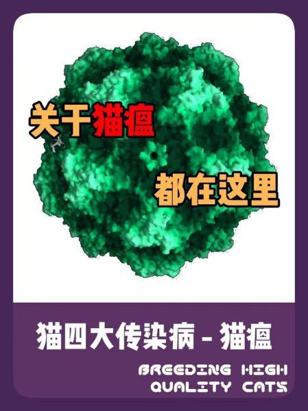 待宰活猫查出猫瘟( 猫瘟是怎么被发现的)