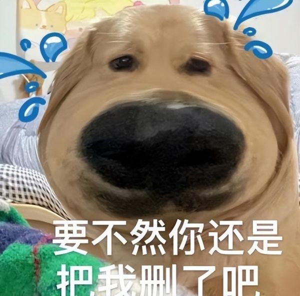 微笑狗是什么(它到底隐藏着什么秘密)