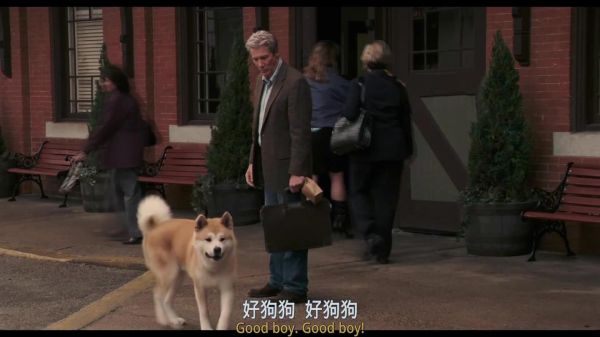 忠犬八公的故事国语版(国产版值得看吗)