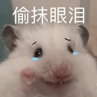 怎么判断仓鼠哭了(怎么才能知道它哭的原因)
