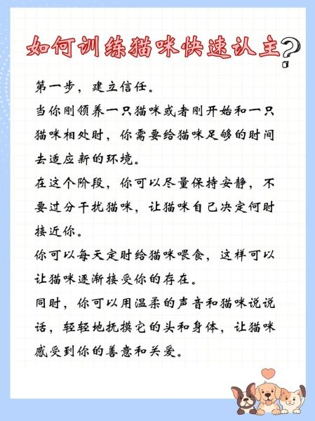 怎么确定猫咪认主人了(它是不是认你为主了)