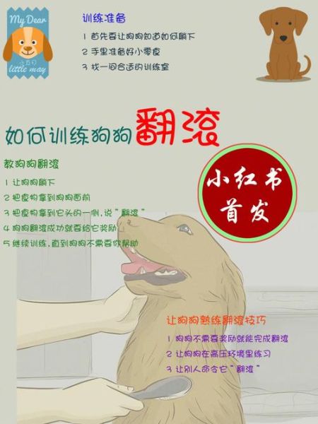怎样引导狗狗进入自己( 怎么训练它进出自己的地方)