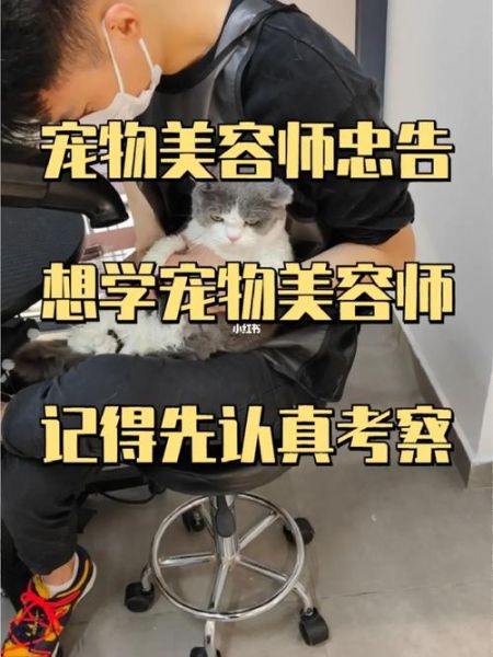 想学宠物美容(学完能找到工作吗)