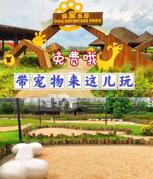 成都 宠物市场(哪家店最优惠)