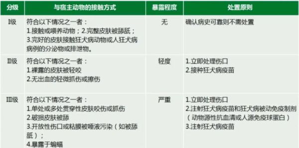 成都和平动物医院(价格水平如何)