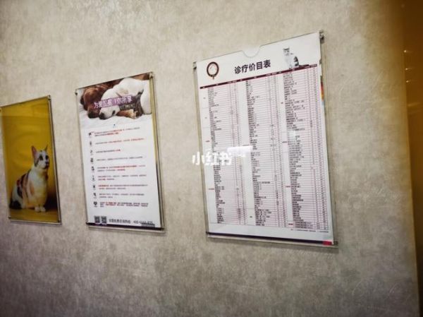 成都哪家宠物医院靠谱(哪家收费透明)