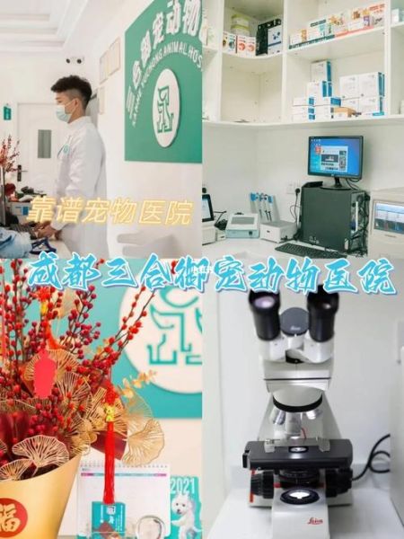 成都哪家宠物医院靠谱(哪家收费透明)