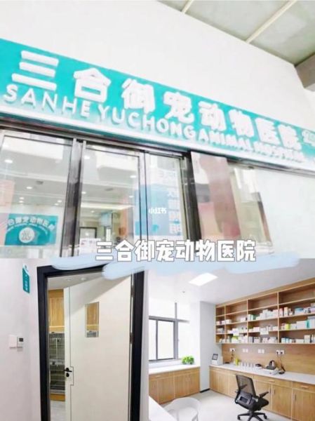 成都宠物医院哪个好(让宠物更舒适)