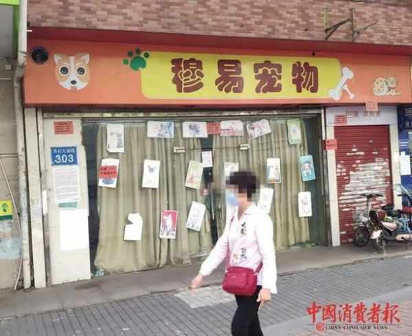 成都宠物店(成都福安家宠物店怎么样)