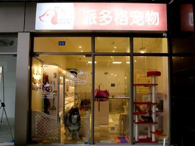 成都宠物美容( 成都宠物美容店现在预约还来得及吗)