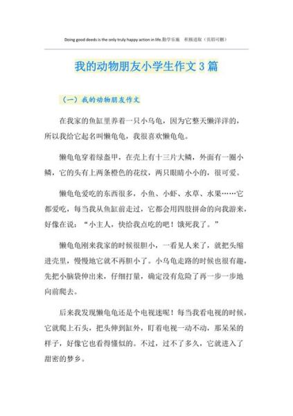 我的动物朋友四年级作文(你的动物朋友需要你做什么)