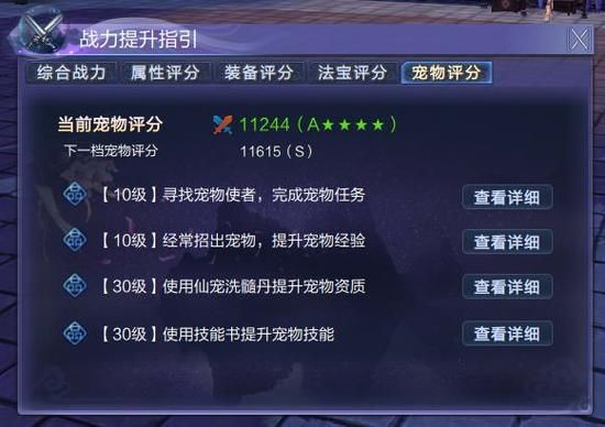 战斗宠物训练(提升宠物等级需要什么方法)