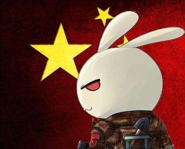 打兔子(谁来守护安全)