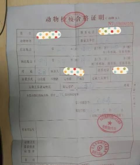 托运宠物(哪些证件是必备的)