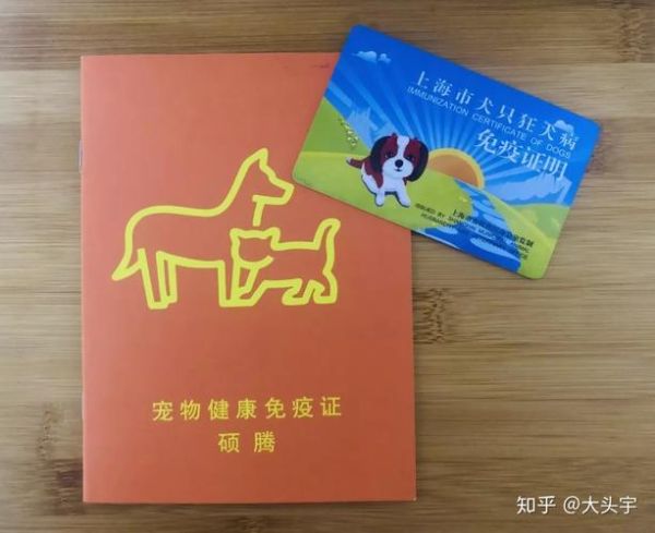 托运宠物(哪些证件是必备的)