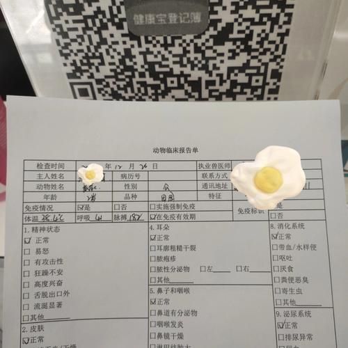 托运宠物多少钱(除了运费还有其他费用吗)