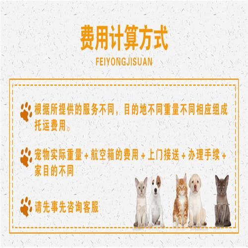 托运宠物多少钱(除了运费还有其他费用吗)