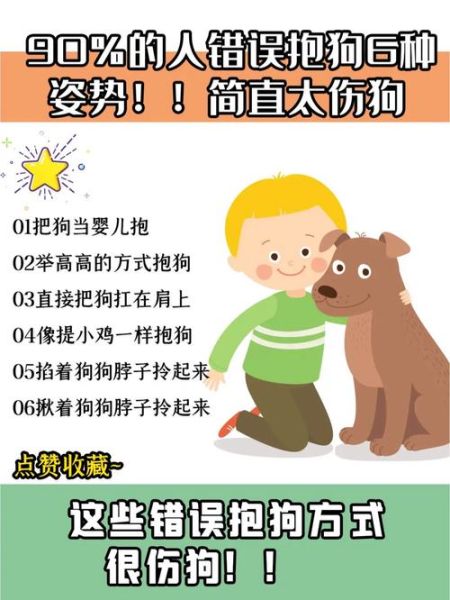 抱狗( 怎么抱狗才让它舒服)