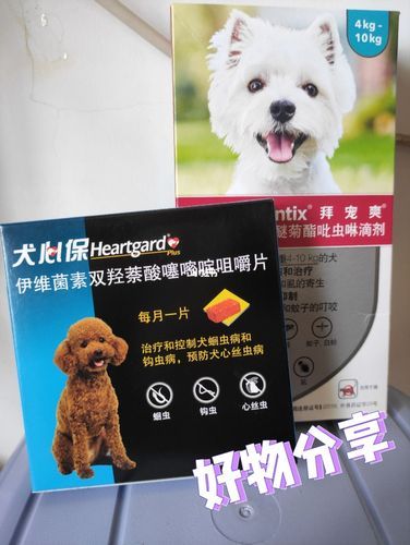 拜宠爽(怎么用才能效果最好)
