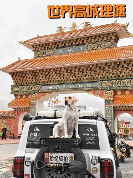 摩狗( 能搜到你想买的车吗)