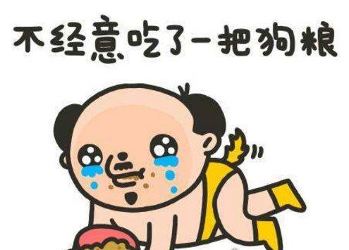 撒狗粮是什么意思(单身狗就只能眼巴巴看着)